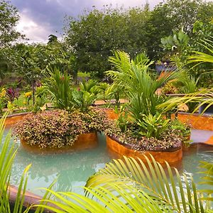 Hotel Heliconias Nature Inn & Hot Springs